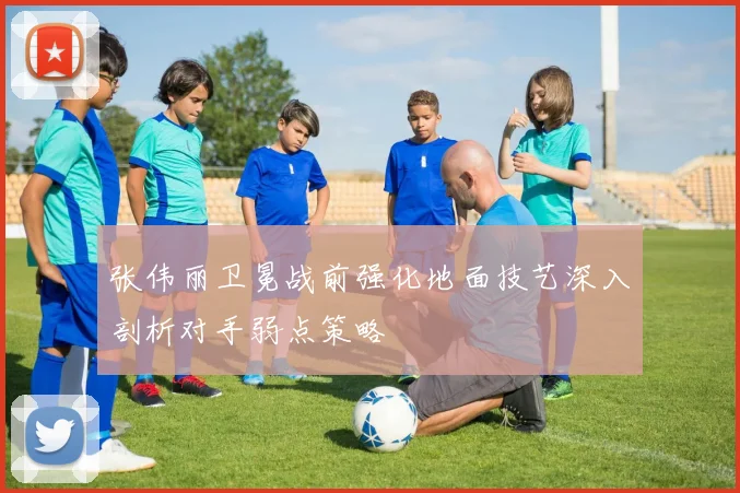 张伟丽卫冕战前强化地面技艺深入剖析对手弱点策略